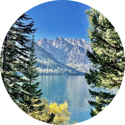 A scenic view of glaciers between two trees
