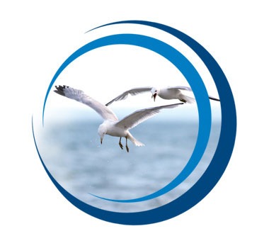 Risk Management