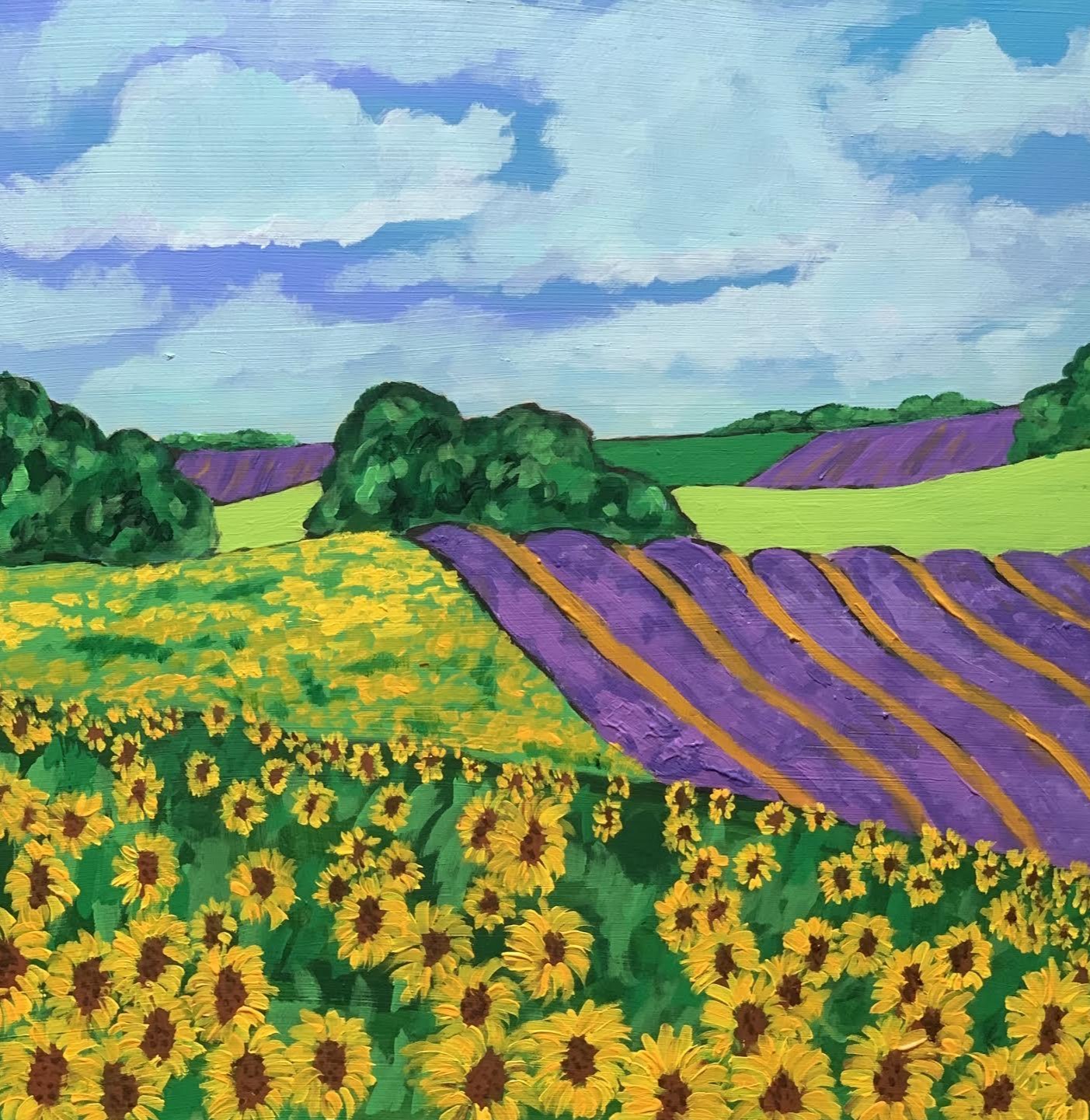 T.L. LaFleur Sunflowers