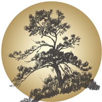 Pacific Financial Group