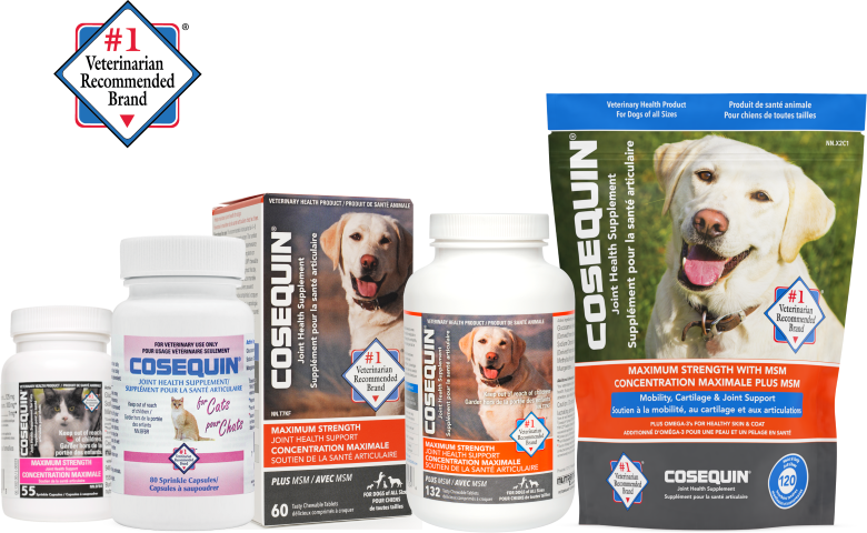 Nutramax Cosequin Joint Supplement For Cats & Small Dogs - 132 Capsules With Glucosamine