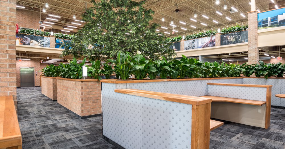 Klingspor David E Looper & Company