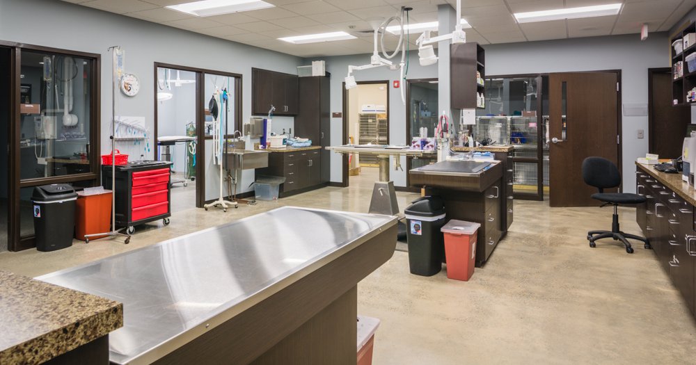 Mooresville Animal Hospital David E Looper &amp; Company