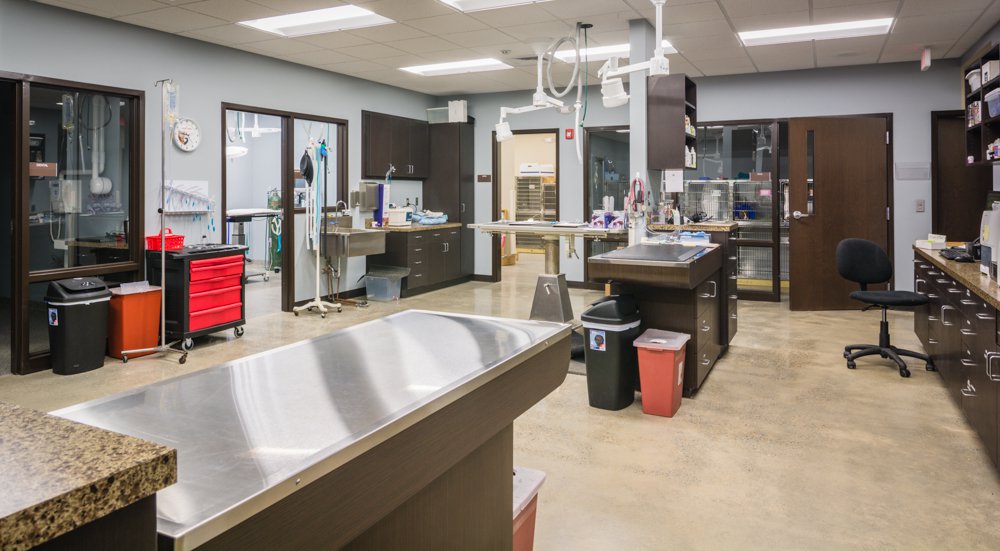 Mooresville Animal Hospital David E Looper & Company