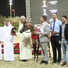 SHARJAH ARABIAN HORSE SHOW - UAE BRED