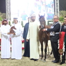 SHARJAH ARABIAN HORSE SHOW - UAE BRED