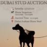 DUBAI ARABIAN HORSE STUD AUCTION 13/03/2021 