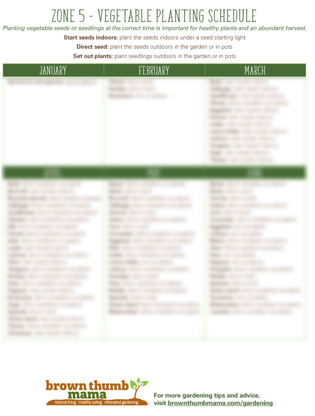 Zone 5 Vegetable Planting Guide