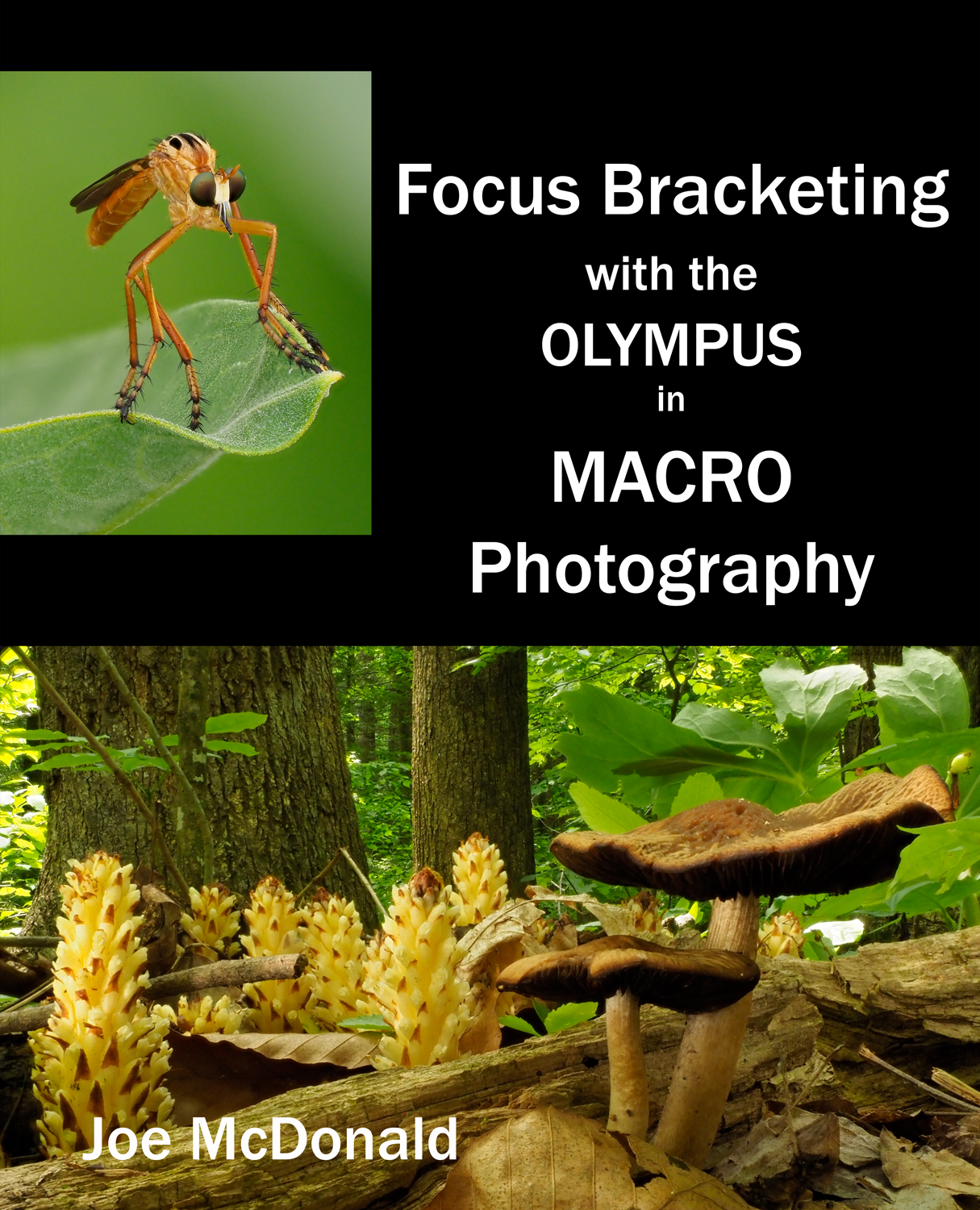 Using Focus Bracketing with the Olympus in Macro Photography