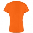 back thumbnail