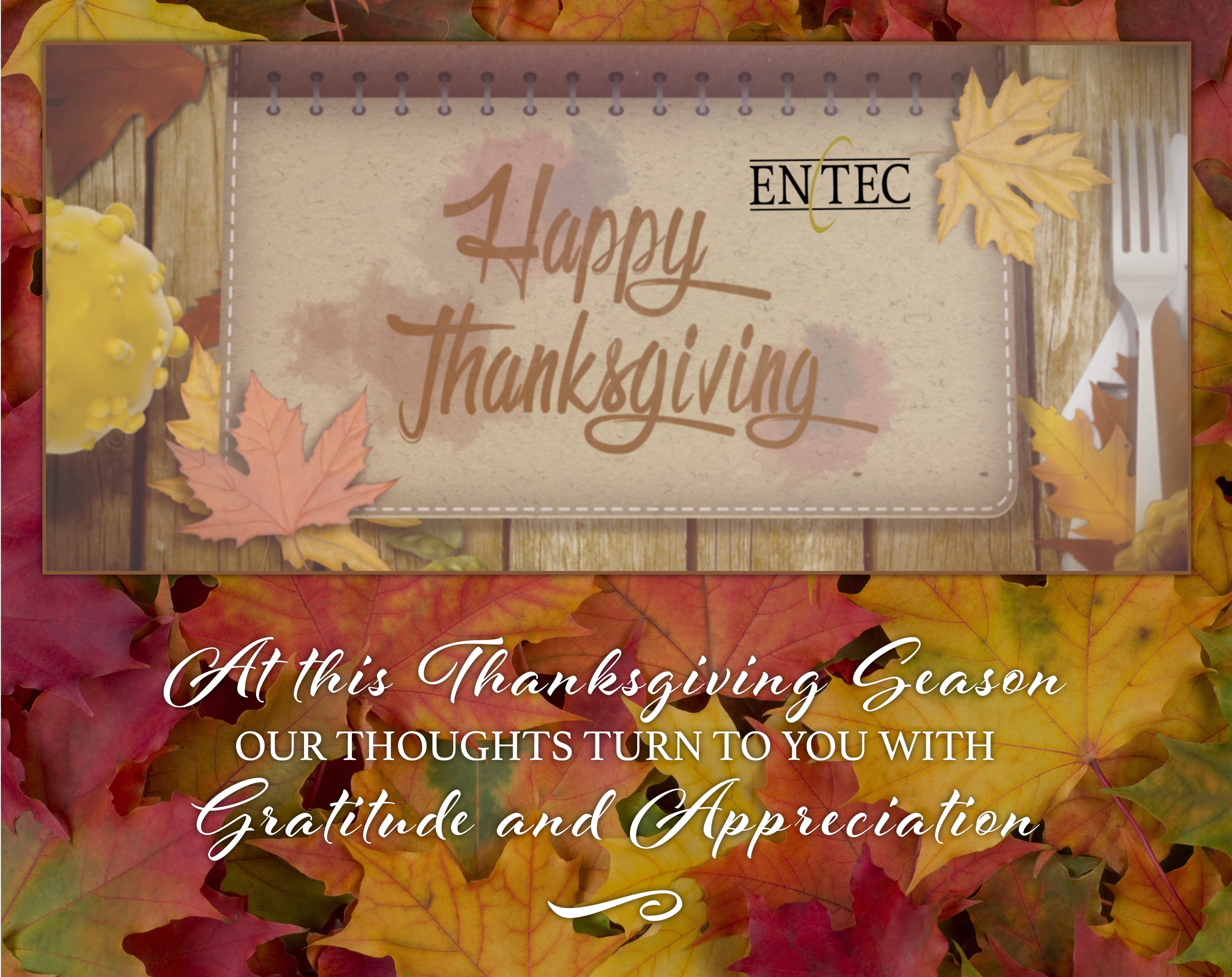 Happy Thanksgiving Greeting