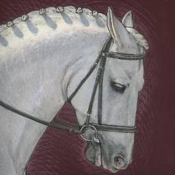 The Withers Winery: Teaming Up with Equestrian Aid