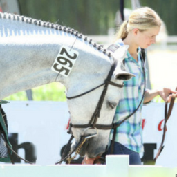 Equestrian Aid Foundation Announces Its New Horse Show Program: Show You Care