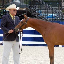 Meet Raymond: A Legend of the Hunter Ring