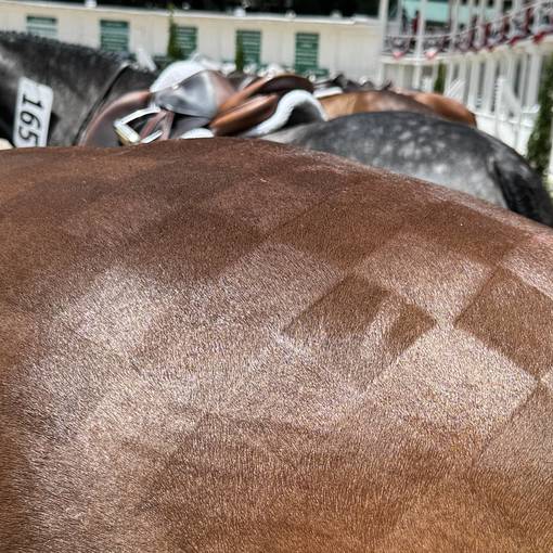 Ramos and Lopez Shine in $5,000 EAF Grooms Classic Presented by Shapley’s