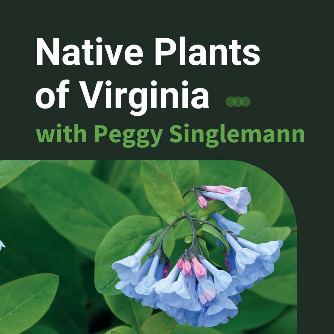 Native Plants of Virginia Demco Software