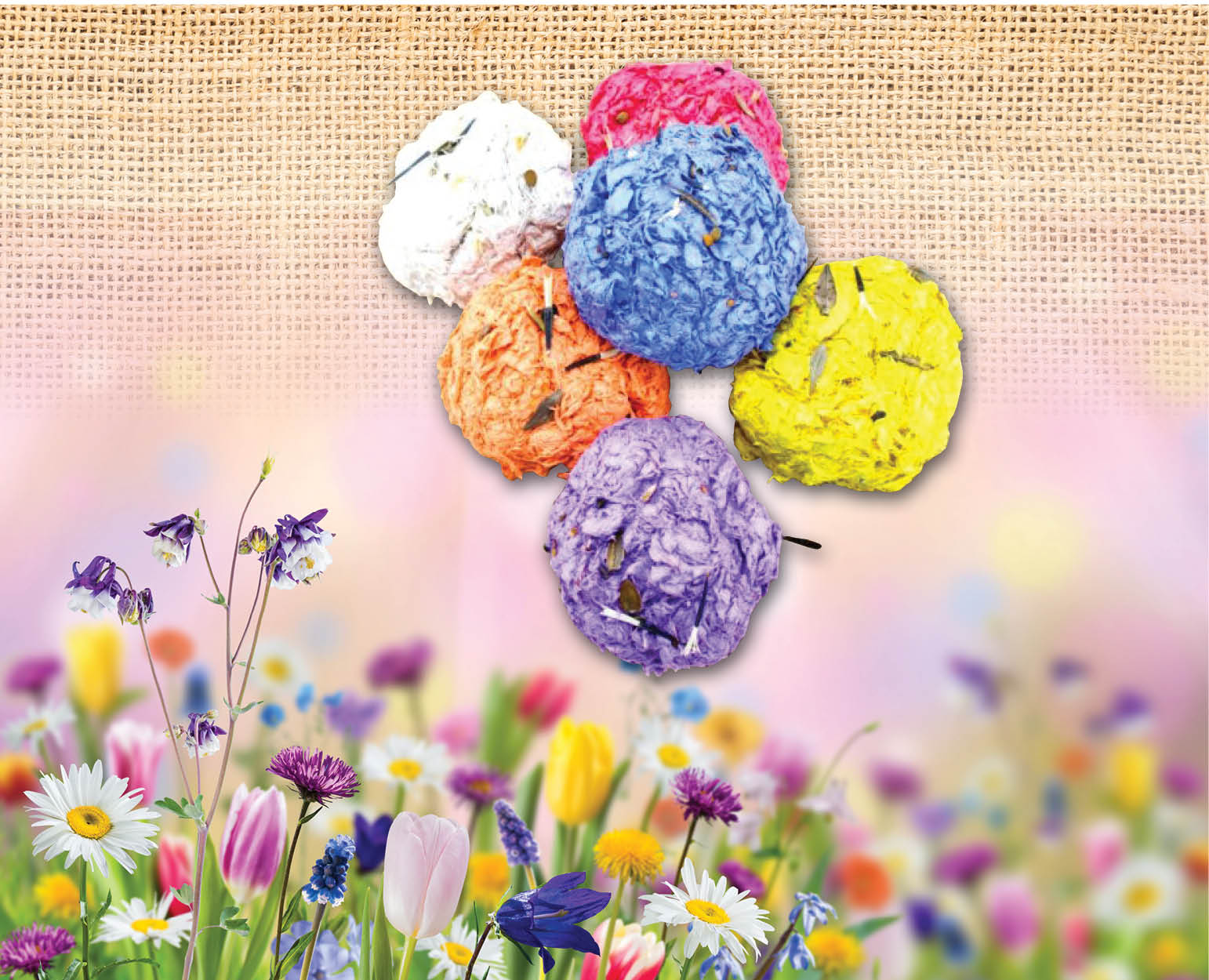 DIY Wildflower Seed Bombs Demco Software