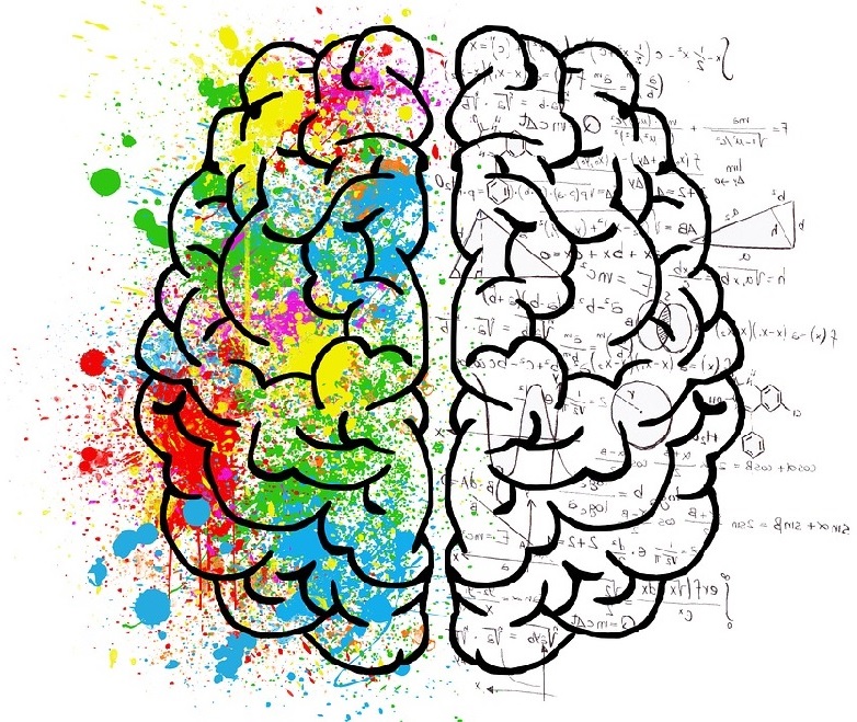 Brain Games