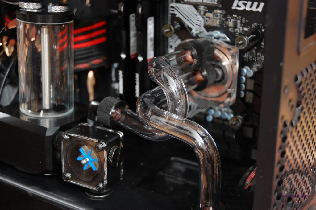DSC_6456_zps4isgn7uv.jpg