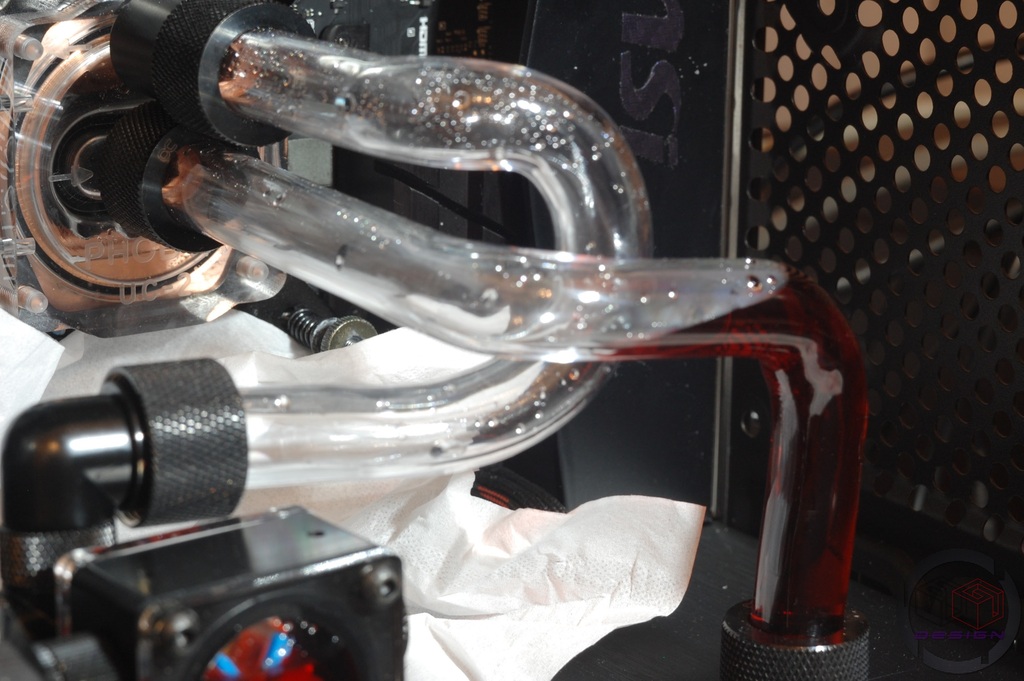 DSC_6457_zpsrkm1e61f.jpg