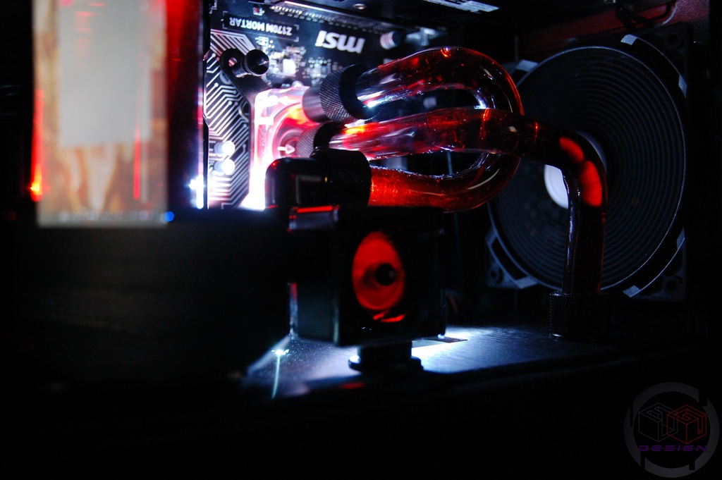 DSC_6529_zpsj3yi7rvl.jpg
