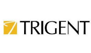 Trigent Software 