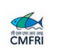 CMFRI 