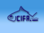 CIFA 