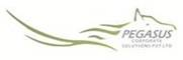Pegasus Corporate 