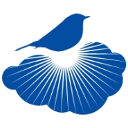 Silverline Recruitments 