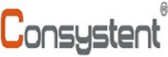 Consystent Infotech Pvt Ltd 