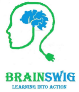 Brainswig Edutech Pvt Ltd 