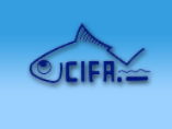 CIFA 