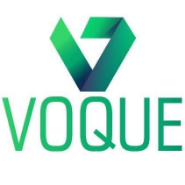 Voque IT Solutions 