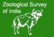 Zoological Survey of India 