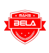MAKS BELA INTERNATIONAL EDUCATION PVT LTD 