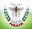 National Bureau of Agricultural Insect Resources 