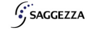 Saggezza India Pvt Ltd 