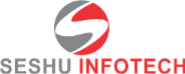 Seshu Infotech 