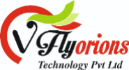 Vflyorions Technologies Pvt Ltd 