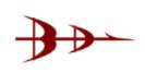 Bharat Dynamics Limited 