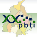 Punjab Biotechnology Incubator 