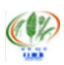Indian Institute of Millets Research 