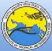 IITM Pune 
