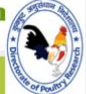 Directorate of Poultry Research 