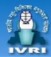 IVRI 