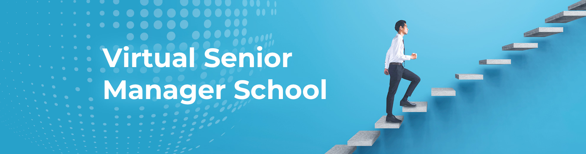 Virtual Senior Manager School