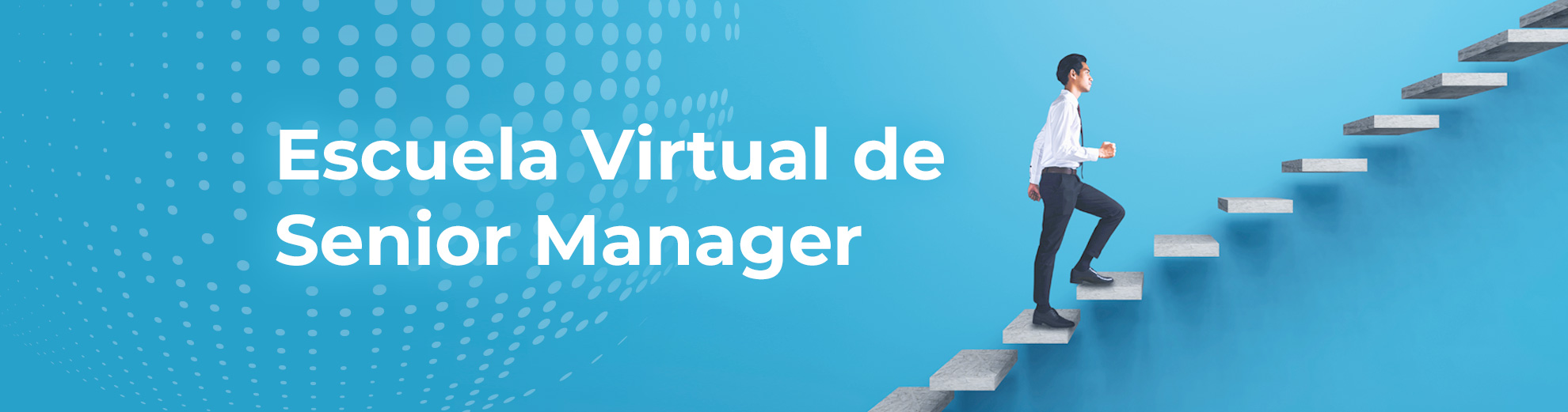 Virtual Senior Manager School