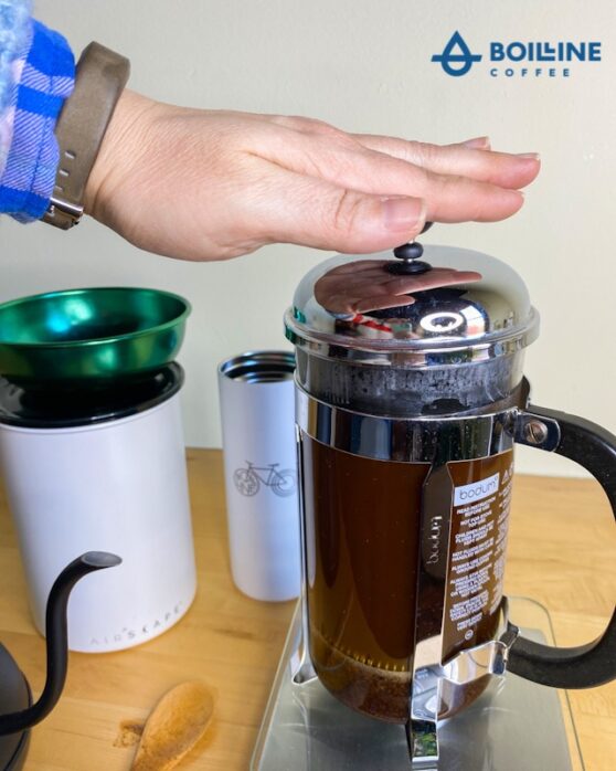 French Press Brew Guide Boil Line Coffee Company