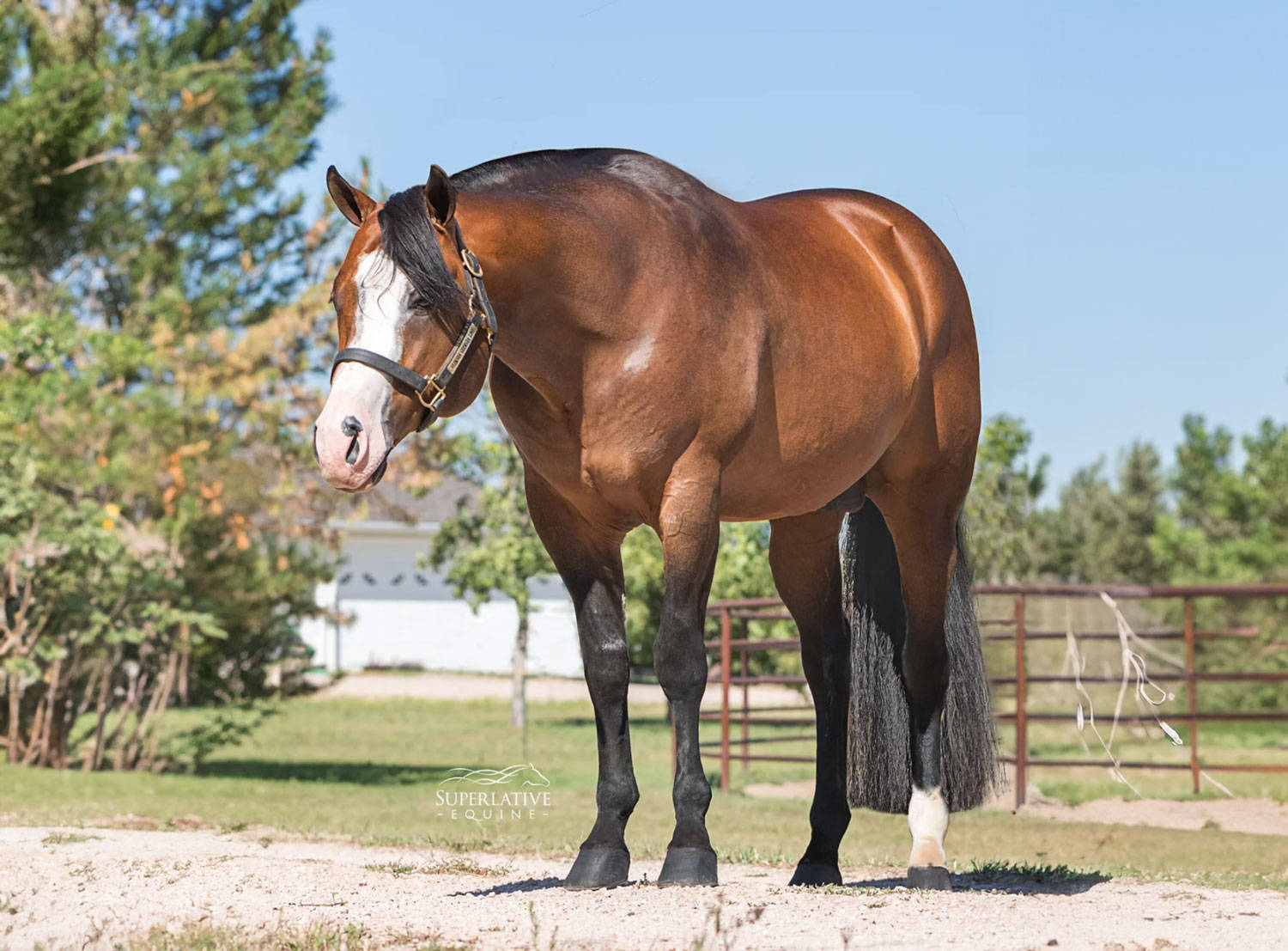 FLORIDA GEORGIA LINE